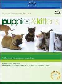 Film Puppies & Kittens Timm Hendrik Hogerzeil