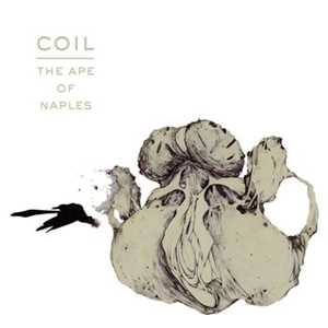 CD The Ape Of Naples - Limited Edition Coil