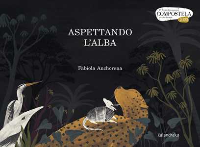 Libro Aspettando l'alba Fabiola Anchorena